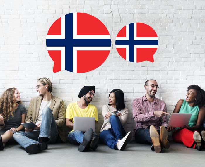 Norwegian lessons 